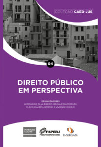 CAPA_-04_DIREITO_PUBLICO_EM_PERSPECTIVA-206x300