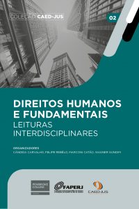 Direitos_humanos_e_fundamentais_leituras_interdisciplinares_capa-200x300