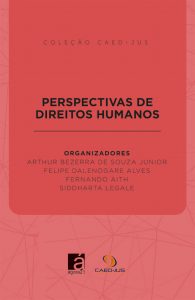 capa-perspectivas-de-direitos-humanos-195x300