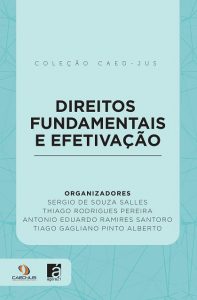 capa_-_direitos_fundamentais_e_efetivação_-_090317-site-197x300